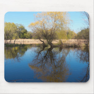 Willows Reeds and Pond im Frühling Mousepad