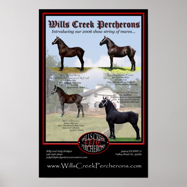 WILLS CREEK PERCHERONS 2006 SHOW STRING POSTER (Vorne)