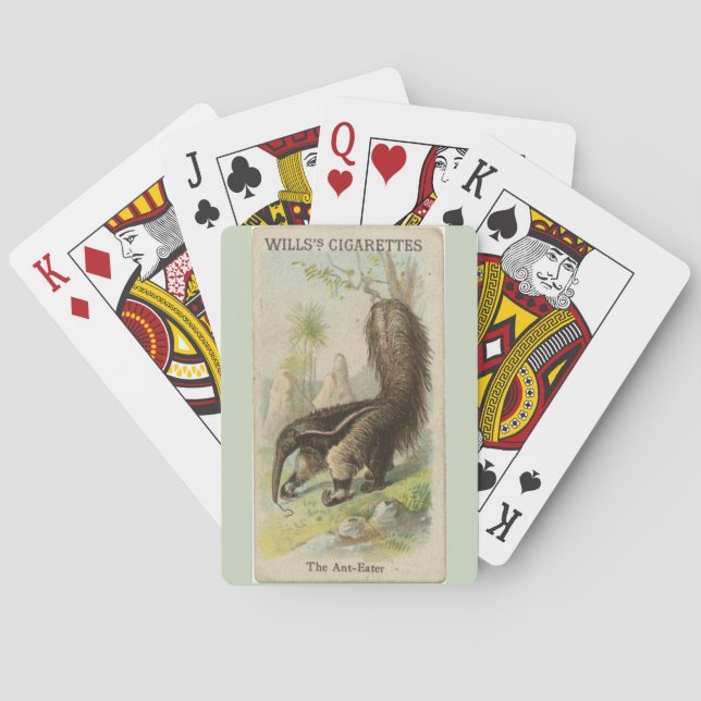 Wills Sammelkarten für Zigaretten Spielkarten (Rückseite)