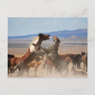 Willst du ein Stück von mir? Postkarte