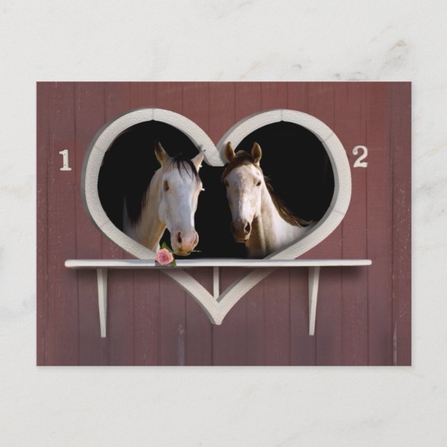 Willst du herumreiten? postkarte (Vorderseite)