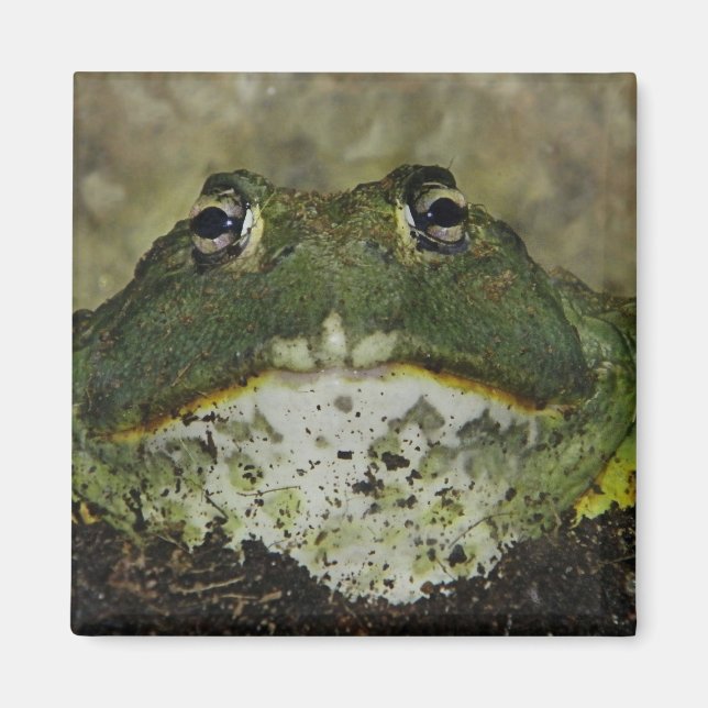 Willst du rauchen? Magnet? Magnet (Vorne)