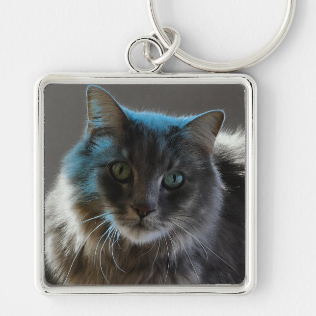 Willy Boy Majestic Long-Haired Grey Cat Schlüsselanhänger (Vorne)