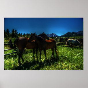 Willy und Charger Poster