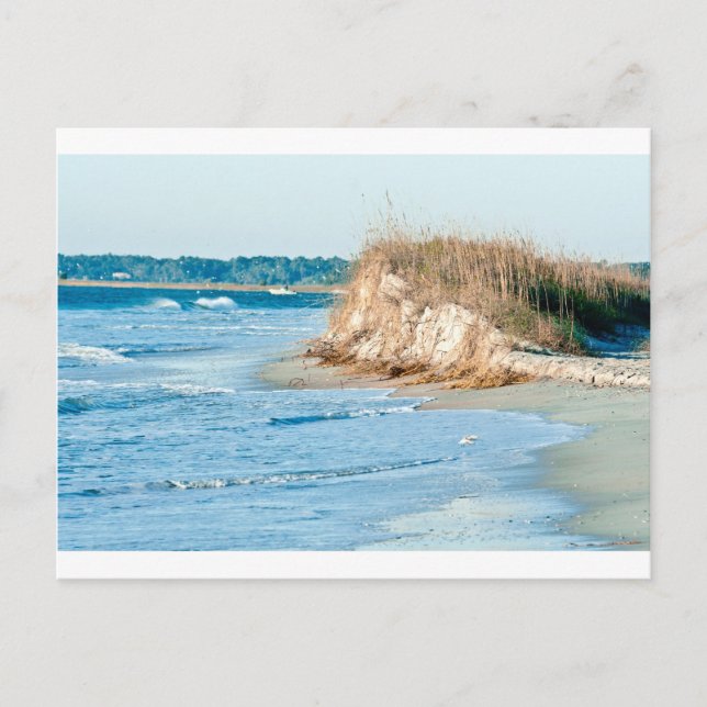 Wilmington NC Postkarte (Vorderseite)