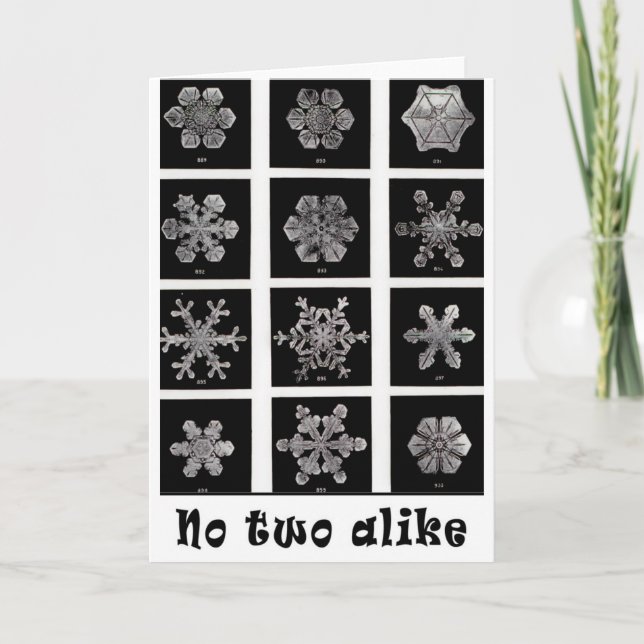 Wilson Bentleys Schneeflocken, 1902 Feiertagskarte (Vorderseite)