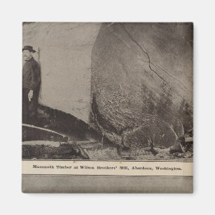 Wilson Bros Mill Bird Blickwinkel auf Aberdeen Magnet