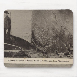 Wilson Bros Mill Bird Blickwinkel auf Aberdeen Mousepad