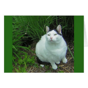 Wilson et visée d'UFO