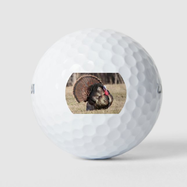 Wilson Golf Balls mit Tom Turkey Golfball (Vorderseite)