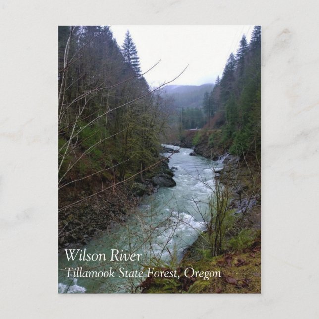 Wilson River Postkarte (Vorderseite)