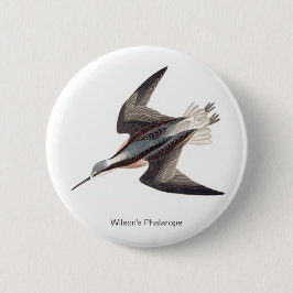 Wilsons Phalarope von John James Audubon, Button