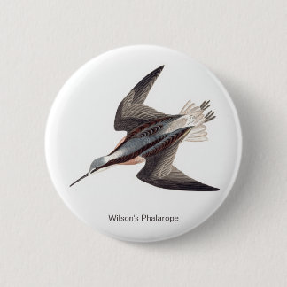Wilsons Phalarope von John James Audubon, Button