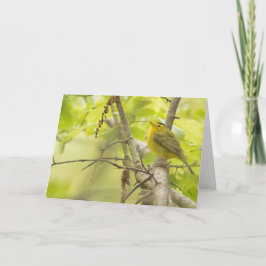 Wilsons Warbler in Spring Tree Blank Note Card Karte