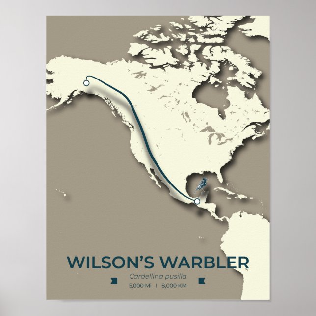 Wilsons Warbler-Migrationskarte - Minimalistisch Poster (Vorne)