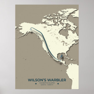Wilsons Warbler-Migrationskarte - Minimalistisch Poster
