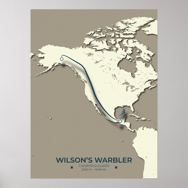 Wilsons Warbler-Migrationskarte - Minimalistisch Poster (Vorne)
