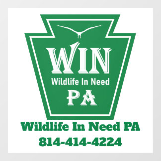 WIN Logo Window Cling-White background Fensteraufkleber