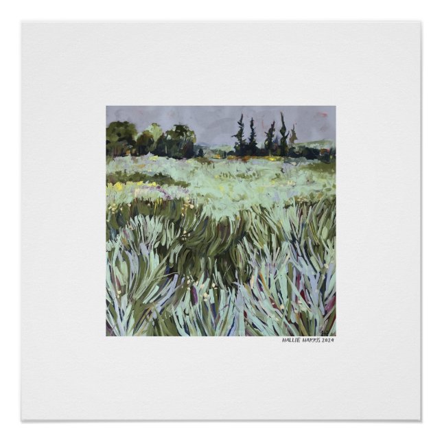 Wind durch das Gras Poster (Vorderseite)