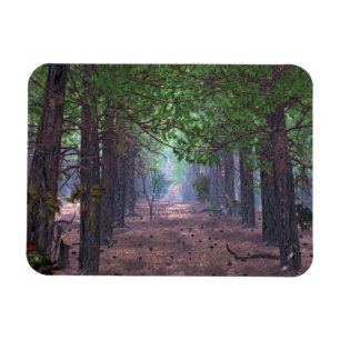 Wind in den Pines Flexible Magnet