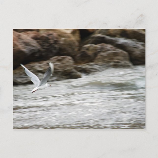 Wind Master Postkarte (Vorderseite)