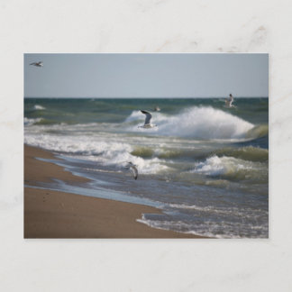 Wind Postkarte
