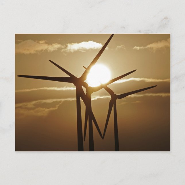Wind Power Postkarte (Vorderseite)