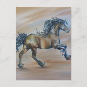 Wind Racer Postkarte