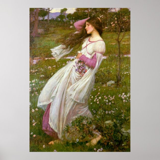 Windblumen Poster (Vorne)