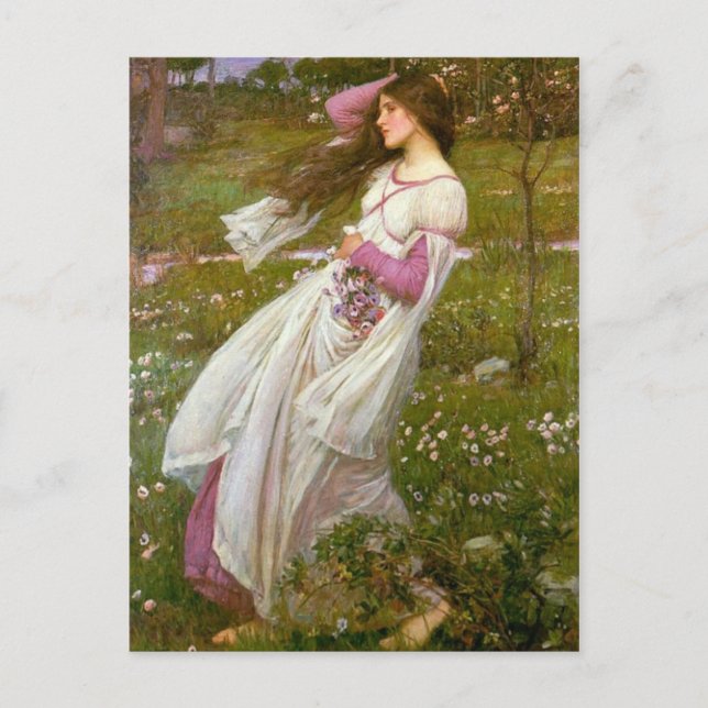 Windblumen Postkarte (Vorderseite)