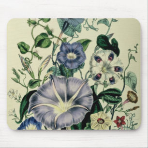 Winde, überziehen 26 "von den Damen Mousepad