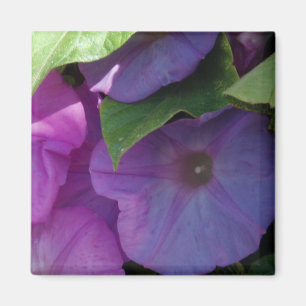 Winden-Blumen-Magnet Magnet