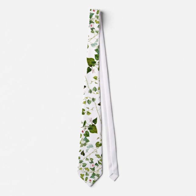 Winden-BlumenBlätter-Rebe-botanische Krawatte (Vorderseite)