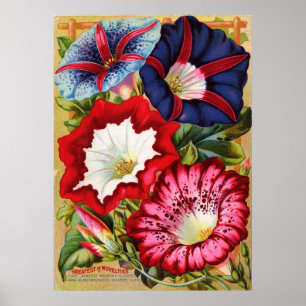 Winden-Druck Poster