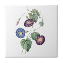 Winden Redoute Keramik-Fliese Fliese