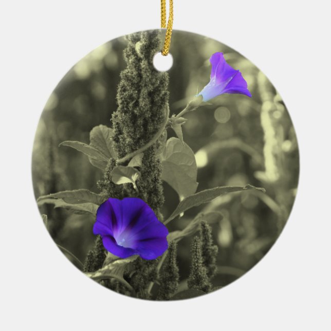 Winden-Schwarz-weiße Blumen-Verzierung Keramikornament (Vorne)