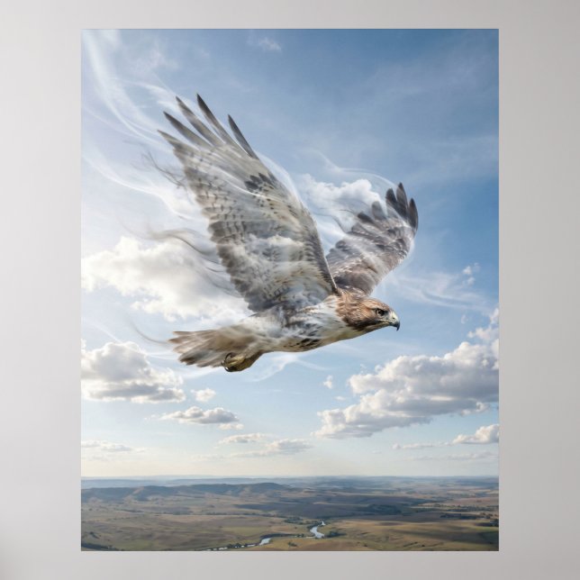 Windfalke Offener Horizont Poster (Vorne)
