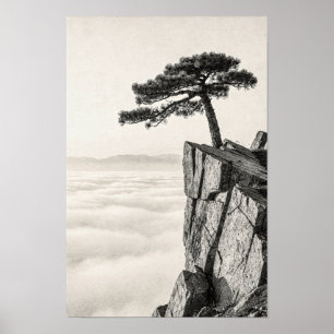 Windgewehte Kiefer über den Wolken Poster