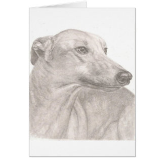 Windhund
