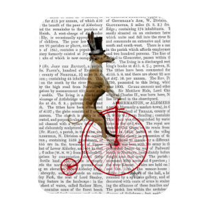 Windhund auf rotem Penny-Farthing-Fahrrad Magnet