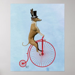 Windhund auf rotem Penny-Farthing Poster