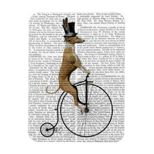 Windhund auf schwarzem Penny-Farthing-Fahrrad Magnet