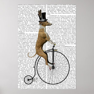 Windhund auf schwarzem Penny-Farthing-Fahrrad Poster
