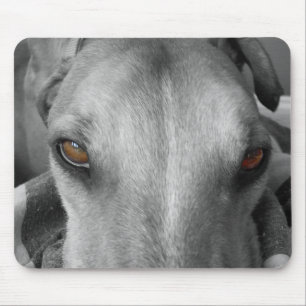 Windhund-Augen Mousepad