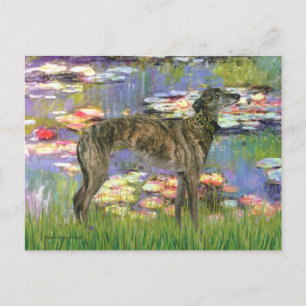 Windhund (br8) - Lilien 2 Postkarte