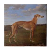 Windhund