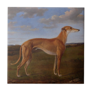 Windhund Fliese