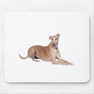 Windhund (Fohlen, liegend) Mousepad