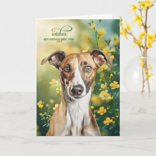 Windhund-Hund Kleine gelbe Blumen Gute Besserung Karte