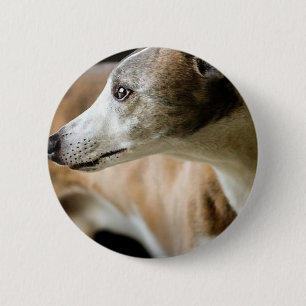 Windhund-Hundeknopf Button